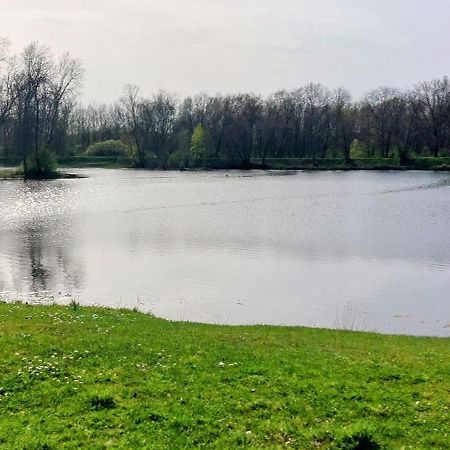 Studio Sur Les Rives D'Allier Moulins  Eksteriør bilde